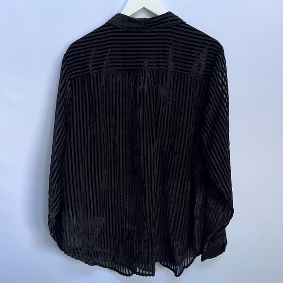 NWT Anthropologie Pilcro Velvet Burnout Long Sleeve Buttondown Blouse 2X - Picture 11 of 13
